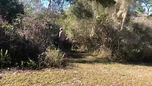 2.5K views · 62 reactions | Trapper Nelson’s Compound... | The Eco Preservation Project | Facebook