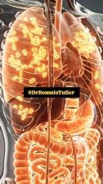 Do you know how Mounjaro works in your body? #viral #tips #health #mounjaro