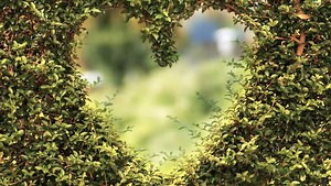 The Difference Between Opacity and Fill in Photoshop