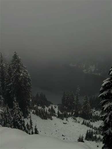 Emotional Goodbye: Letting Go