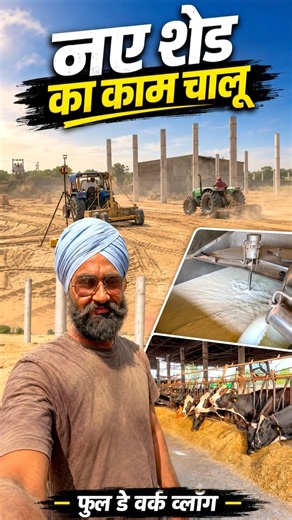 नए शेड का काम शुरू-vlog ।Full day work at Veer dairy farm। Feeding and milking of farm ?