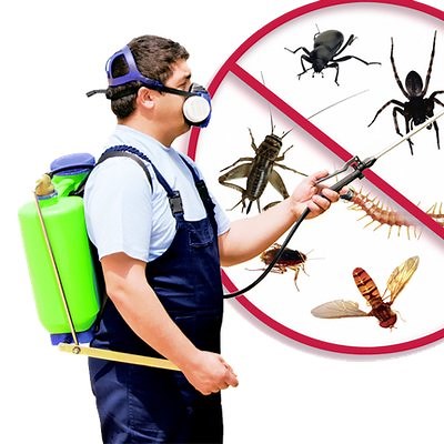 Advantages And Disadvantages Of Pest Control - Public Health