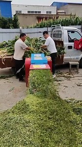 159K views · 2.1K reactions | #Grass chopper #Animal husbandry machinery #Agriculture | New Tecnology | Facebook