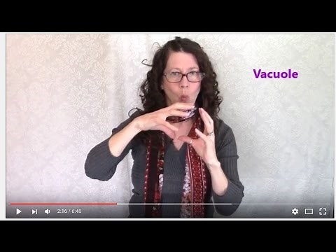 ASL Biology terms: Plant and Animal Cells: How to interpret