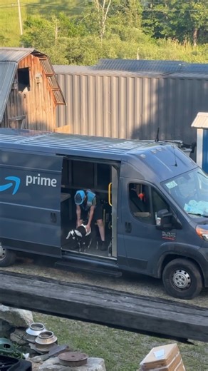 1.2M views · 11K reactions | I guess you could say Amazon Same-Day Delivery is the G.O.A.T  | Amazon.com | Facebook