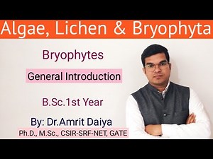 Bryophyta General Introduction|| English & Hindi|| BSc 1st year|| Algae,Lichen & Bryophyta