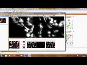 TissueQuest Cell & Tissue Analysis Software