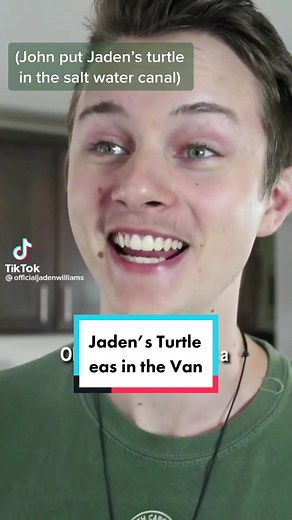#turtleinthevan That van driver is a #hero See original video 👉 @loriloo007 @Jaden Williams