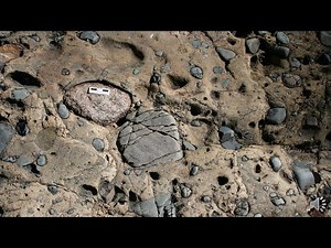 Terrigenous Rocks