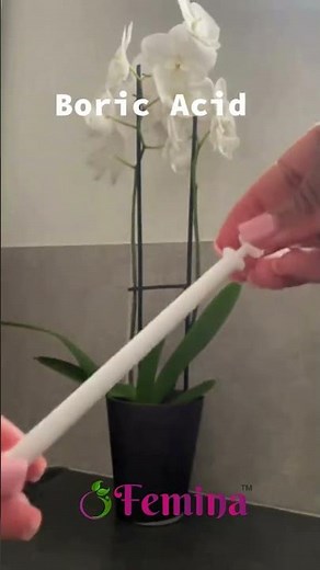 Femina Boric Acid: How to Insert Your Boric Acid Suppository using an Applicator