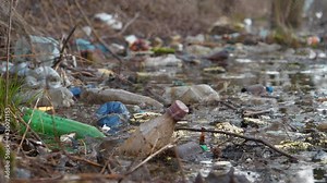 Plastic bottles and many other garbage lies on the shore of the lake, pollution of the environment