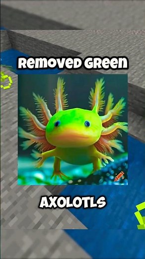 Why Green Axolotls Were REMOVED From Minecraft 😭