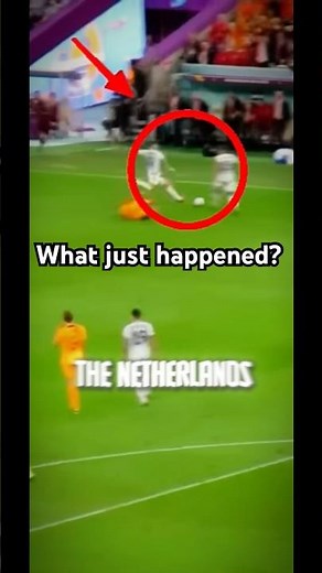 Argentina vs Netherlands Bench Chaos | When you hit the wrong Group chat 😭