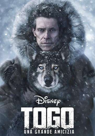 Togo - Una grande amicizia - guarda streaming online