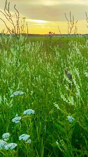 What should be my attitude when I take the Lord’s Supper? Should I sit here feeling guilty? No. It should be the attitude of gratitude. Get more hope and encouragement daily! (Pastorrick.com/study) | Pastor Rick Warren