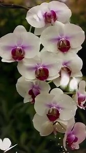 Beautiful Gifs. on Reels