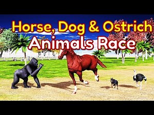 Animal Race Bedtime Story for Kids- Horse Dog Ostrich Sam Rocky Adventures