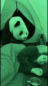 28K views · 158 reactions | Panda's Surprise Tent Visit! A sleeping camper gets an unexpected cuddle from a panda! #fblifestyle #AI Generated using Kling AI . . . (For entertainment purposes only. Consult professionals if guidance on activities is presented. No brand affiliation is implied if any are shown. If inspired by true events, creative adaptations may be included. Content may include public footage.) | Fabiosa UK | Facebook