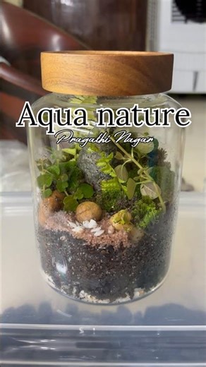 Customer Terrarium..😍