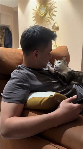 Adorable cat cuddles and purrs while sitting with man in Xinjiang, China