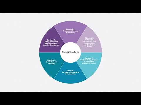 Snapshot: Standard IV - Professionalism and Leadership