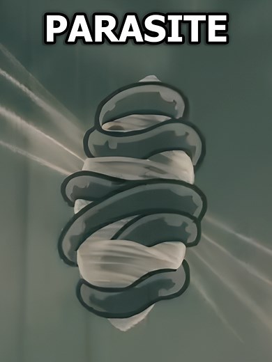 Silksong's Cursed Quest: Overcoming the Parasite Challenge