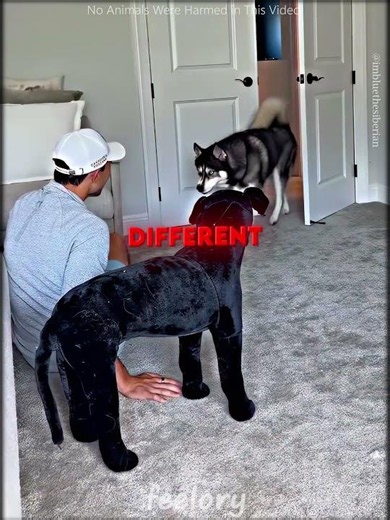 He Tested His 4 Dogs With a Fake Dog 🐶😂 #shorts