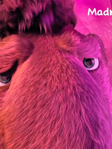 Part28 Ice Age Collision Course #foryoupage #iceage #film #fyp