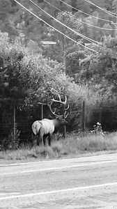 728K views · 78K reactions | #Florida #miami #orlando #texas #love #southflorida #miamibeach #travel #floridalife #photography #beach #atlanta #nature #realestate #instagood #music #losangeles #jacksonville #chicago #canada #fortlauderdale #explorepage #fashion #explore #art #disneyworld #love | Osije relationship spell | Facebook