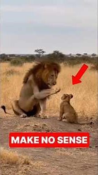 Strange Animal Moments That Confused The Internet