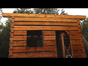 Top Plates, Dovetail Log Cabin Build (Ep 35)