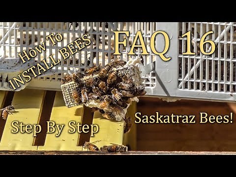 How To Install a Package of Honey Bees, Setting up your first hive step by step.