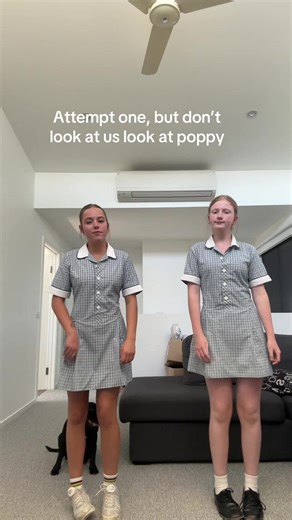 𝓢𝓾𝓶&𝓝𝓮𝓮𝓿𝓮 (@.neevesummerjoint)’s video of poppy playtime plushies