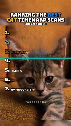 Ranking The Best Cat Timewarp Scans