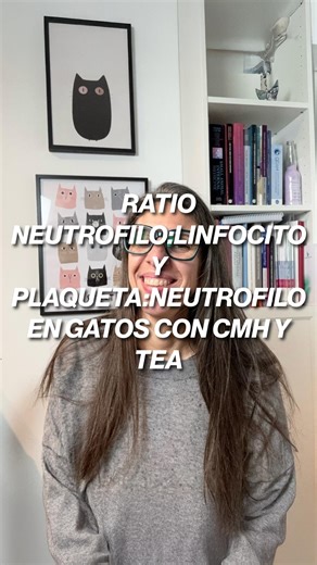 Belén Montoya Jiménez on Instagram: "Día 3️⃣1️⃣4️⃣ 🗞️Bibliografía: Yoon LI, Li RH. Evaluation of neutrophil:lymphocyte and platelet:neutrophil ratios and their prognostic utility in cats with hypertrophic cardiomyopathy and cardiogenic arterial thromboembolism. J Feline Med Surg. 2025;27(10):1098612X251376773 #medicinafelina #medicinafelinaespecializada #mvz #felinemedicine #felinariavet #felinecardiology #cardiologiafelina"