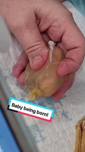 Silicone Baby Being Born Live Birth Video