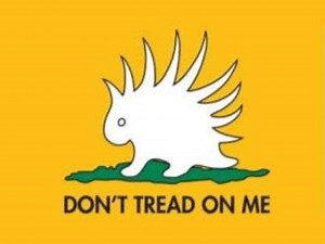 Free State Project Supporter Shot in Fight That Began Over Its Porcupine Flag