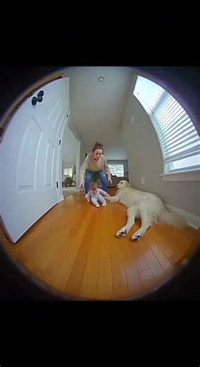 When mom instincts activate in 0.1 seconds 😭❤️