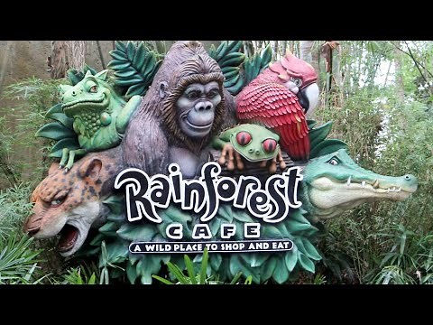 Rainforest Cafe at Disneys Animal 🦒Kingdom Park| Disneys BEST kept Dining Secrets|Walt Disney World