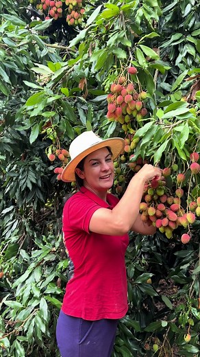 Descubra o Sabor da Lichia e Outras Frutas