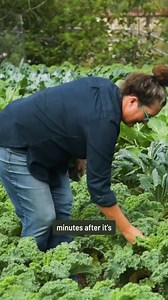 Fresh food, locally sourced! 🌱 Farmhouse Delivery brings the best of local farms and artisanal producers to your doorstep. Taste the goodness of farm-fresh, organic, sustainably grown food at farmhousedelivery.com | Farmhouse Delivery