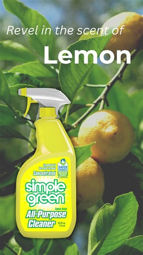 1.6K views · 11 reactions | Clean your home with a squeeze of sunshine. Simple Green Lemon  #simplegreen #lemon #lemonscent | Simple Green | Facebook