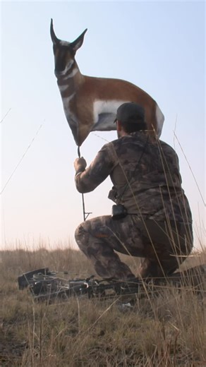 COUNTRY OUTDOORS on Instagram: "Zach’s first time ever hunting antelope in Montana! This is a hunt from a couple of years ago and man was it a fun one! Full episode on Zach and Mary Country Outdoors Channel!"