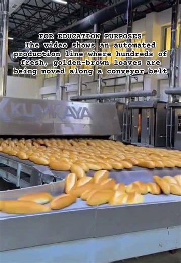 large-scale bakery operation #shorts #bakerylife #industrialbaking #breadmaking #asmr #foodfactory