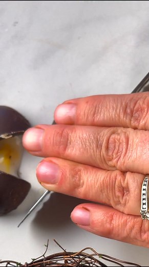 3.4K views · 26 reactions | Easy Vegan Creme Eggs!  https://avirtualvegan.com/vegan-creme-eggs/ | A Virtual Vegan | Facebook