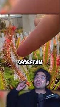 Las Plantas Carnívoras Más Aterradoras Del Mundo #tonyfranco