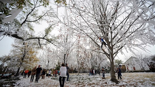 Untold stories of Harvey Updyke's last confessions and plot to kill Auburn's Toomer's Corner trees
