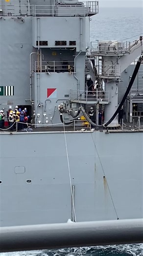 Mamma Gator feeding baby gator #navy #usnavy #boatswainsmate #bm #marines