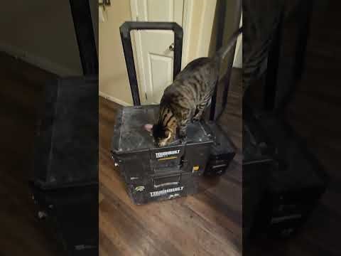 Toughbuilt stacktech rolling boxes review by an electrician