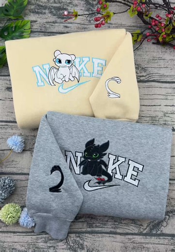 When Night Meets Light: Toothless and Light Fury Duo